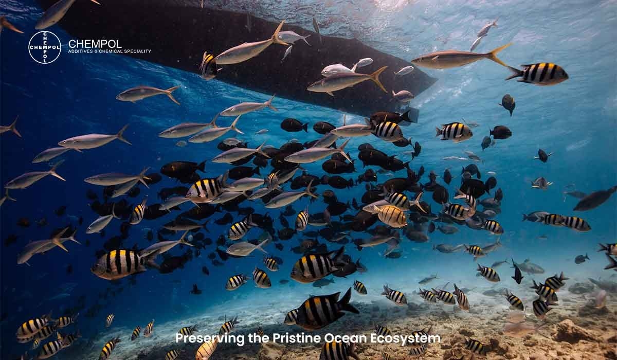 Preserving the Pristine Ocean Ecosystem: A Call to Action for Marine Oil Additives Manufacturers in the UAE