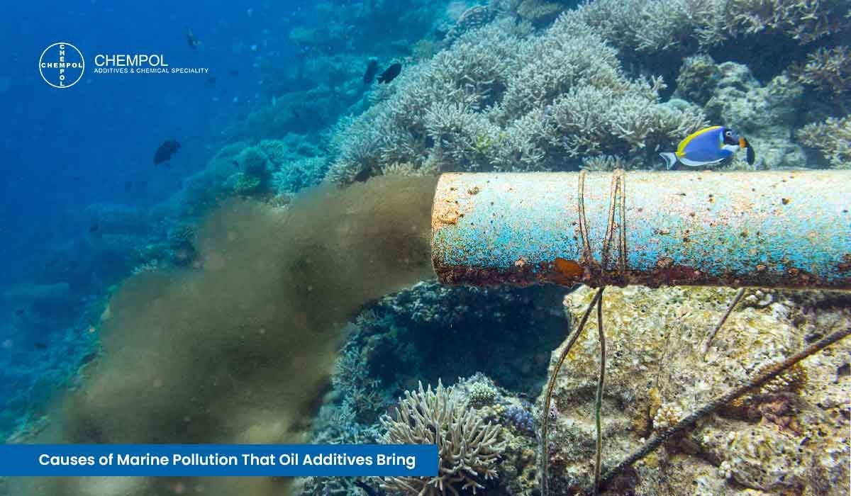 Causes-of-Marine-Pollution-That-Oil-Additives-Bring.
